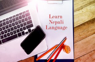 The 10 Best English to Nepali Dictionary App for Android