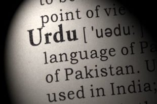 The 10 Best English to Urdu Dictionary App for Android
