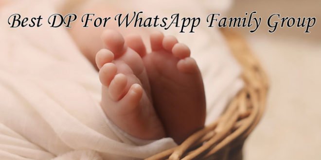 40 Best Display Pictures Dp For Whatsapp Family Group