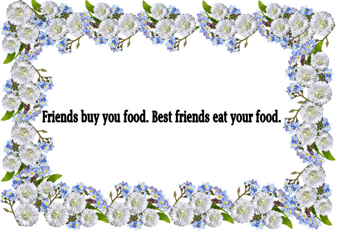 friends buy you food