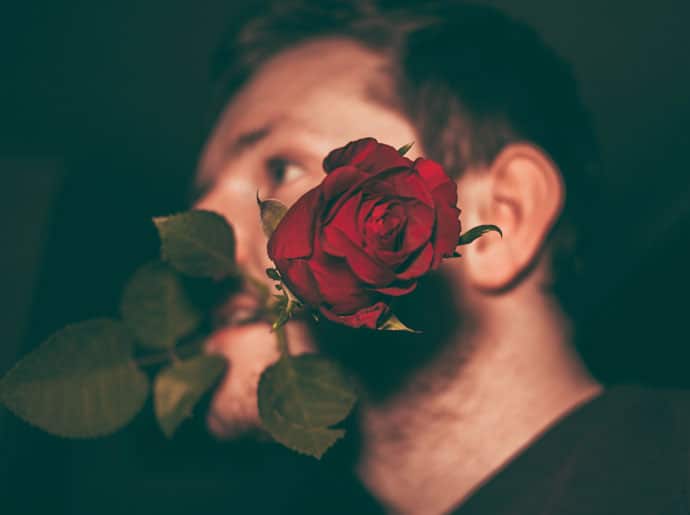 Good Evening Image with Red Rose