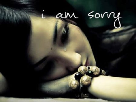 i am sorry sad quote image