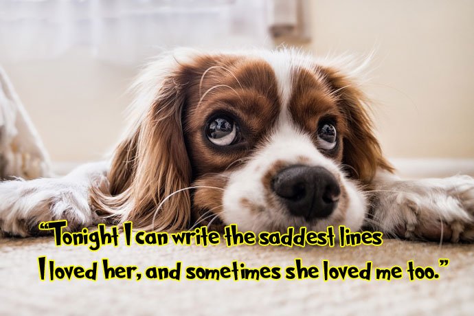 30+ Latest Sad Quotes Images for WhatsApp DP and Facebook Profile
