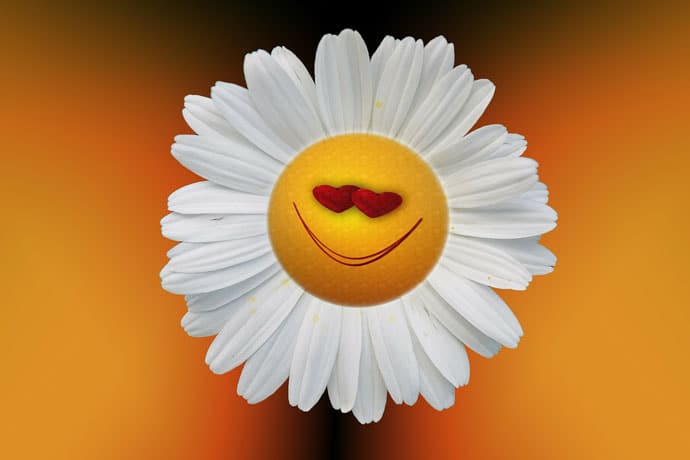Love Smile Emoji in Sunflower