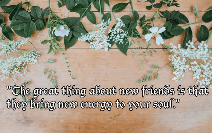 The Great Things about new friends quote