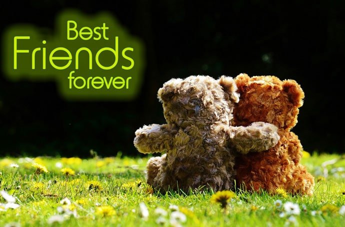 two teddy Friends Forever Images for WhatsApp DP