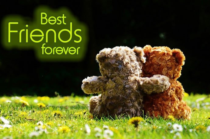 45 Best Friends Forever Images For Whatsapp Dp And Facebook Profile 45 Best Friends Forever Images For Whatsapp Dp And Facebook Profile